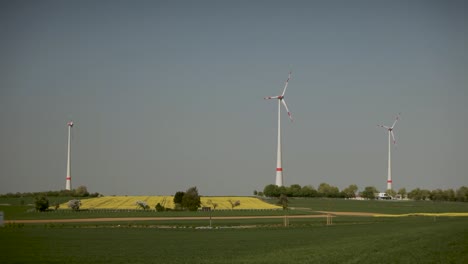 Wind-turbines-towering-over-a-blooming-yellow-rapeseed-field-on-a-clear-day,-renewable-energy-concept