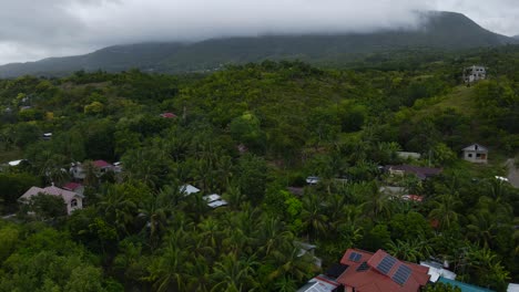 Oslob-Auf-Der-Insel-Cebu-Mit-üppigem-Grün-Und-Einheimischen-Häusern,-Luftaufnahme