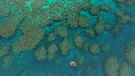 Inclinación-Cinematográfica-Del-Dron-Volando-Hacia-Atrás-Para-Revelar-A-Los-Buceadores-Alrededor-Del-Arrecife-De-Coral-Frente-A-La-Isla-De-Fiji