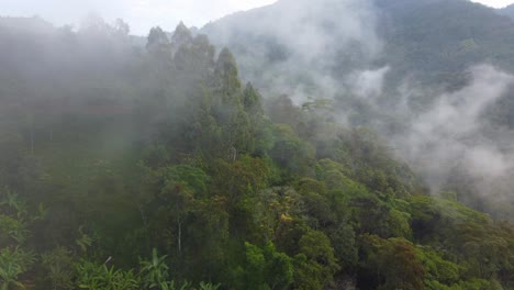 Laguna-de-Fuquene-Risaralda,-Colombia-aerial-nature-dense-forest-fog-humidity