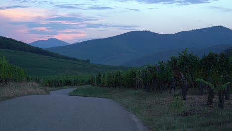 Die-Blaue-Stunde-Geht-Am-Dorfrand-Von-Riquewihr-Unter