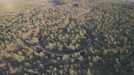 Natural-forest-and-ring-shape-walkway-track,-aerial-view