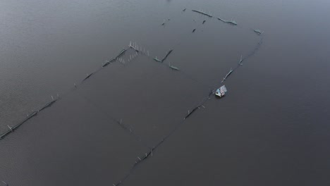 Un-Barco-Solitario-Navegando-Por-Caminos-Acuáticos-Entre-Piscifactorías-Al-Amanecer-En-Bohol,-Filipinas,-Vista-Aérea