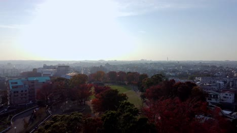 Autumnal-trees-in-park-with-cityscape,-warm-sunlight,-aerial-view