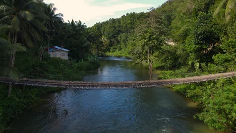 Üppige-Tropische-Landschaft-Mit-Einer-Hängebrücke-über-Einem-Ruhigen-Fluss-In-Bohol,-Sonniger-Tag