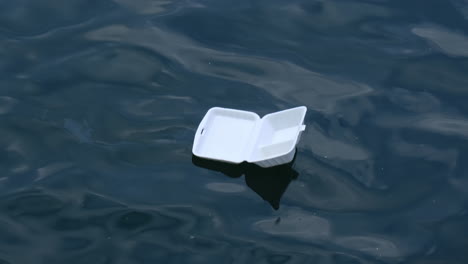 Close-up-a-foam-food-container-floating-at-the-sea