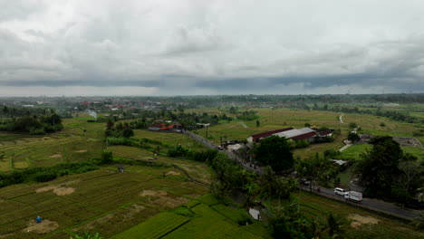 Stark-Befahrene-Straße-Durch-Reisfelder,-Bali-In-Indonesien