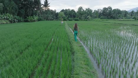Drone-shot-following-woman-in-green-clothes-walking-through-rice-paddies-in-Ubud-Bali-Indonesia