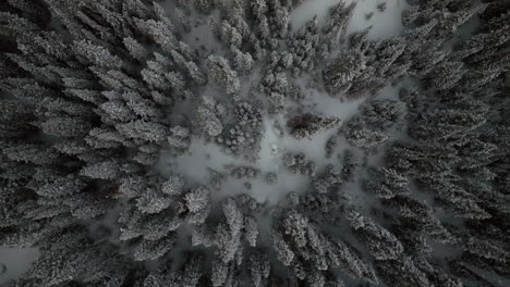 Berthoud-Berthod-Jones-Pass-aerial-drone-Winter-wonderland-Park-Colorado-snowy-blizzard-deep-powder-ski-snowboarder-backcountry-Rocky-Mountains-National-Forest-birdseye-view-upward-circle-left-motion