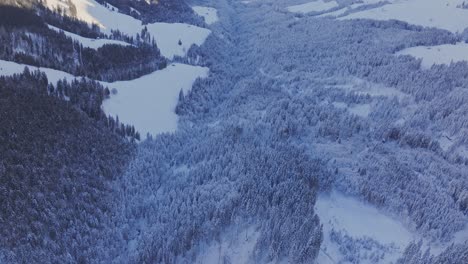 Aerial-view-displaying-the-snowy-ice-forest