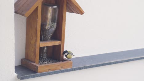 Carbonero-Vuela-Rápidamente-Hacia-El-Cuadro,-Aterriza-En-Un-Comedero-Para-Pájaros,-Toma-Semilla-Y-Se-Va-Volando