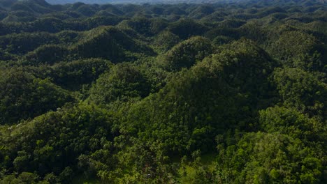 Lush-greenery-covers-rolling-hills-in-an-aerial-view-of-Bohol-Island,-Philippines,-under-daylight