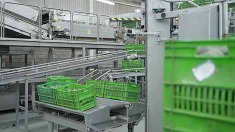 AVOCADO-PACKING-HOUSE-TECH-3