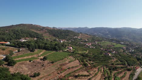 Flug-über-Häuser-In-Bergweinbergen-Im-Dourotal,-Portugal