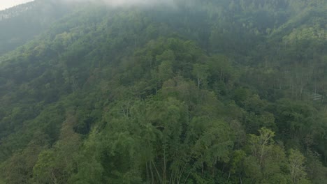 Drohne-Fliegt-über-Mischwald-Auf-Dem-Berg