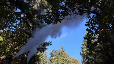 Histórico-Tren-De-Vapor-Del-Campamento-Rugiente-Con-Luces-Navideñas-Que-Ofrece-Paseos-A-Los-Turistas