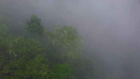 Dichte-Wolken-Und-Grauer-Nebel-Wehen-über-Den-Tropischen-Wald-In-Minca,-Kolumbien,-Und-Geben-Den-Blick-Auf-Die-Dichten-Baumkronen-Frei