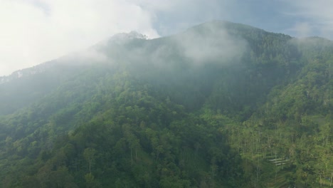 Flying-over-mountain-forest-at-sunrise-in-misty-morning