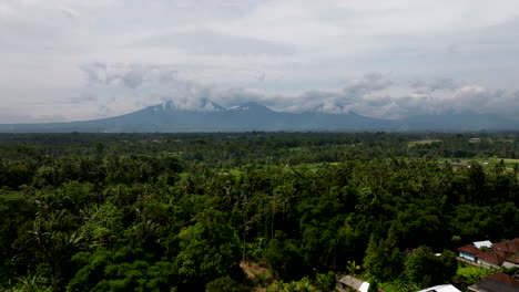 From-above,-the-Bali-countryside-landscape-presents-mesmerising-tapestry