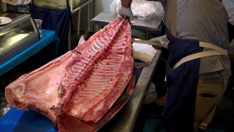 Slow-motion-of-a-male-chef-chopping-off-the-hole-spine-of-a-fresh-blue-fin-tuna