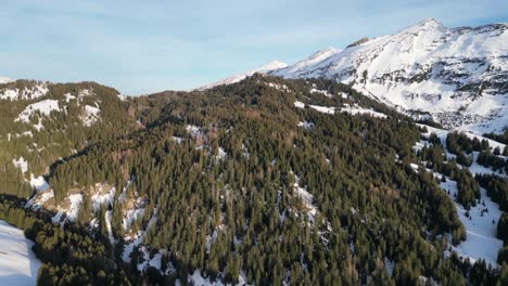 Amden-Weesen-Suiza-Exuberante-Bosque-Verde-En-La-Base-De-Una-Montaña-Nevada