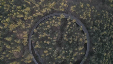 Round-shape-walking-track-reaching-tree-tops-in-woodland-area,-aerial-top-down-view