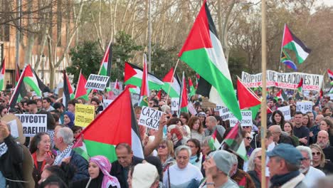 Demonstranten-Versammeln-Sich-Und-Halten-Plakate-Und-Palästinensische-Flaggen-In-Den-Händen,-Um-Ihre-Solidarität-Mit-Palästina-Auszudrücken