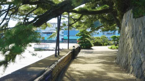 Japanese-Pines-over-Path-on-Mikimoto-Pearl-Island,-Toba-Japan
