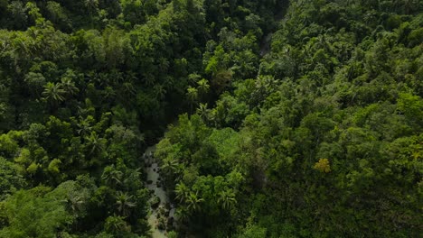 Lush-aerial-view-of-a-tropical-river-snaking-through-Bohol-Island's-dense-jungle