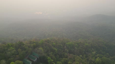 Dense-Thai-jungle-immersed-in-grimly-morning-fog