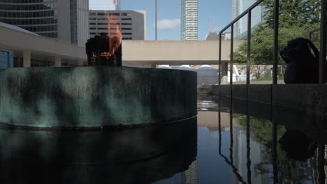 Mittlere-Aufnahme-Der-Ewigen-Flamme-Im-Friedensgarten-Von-Toronto