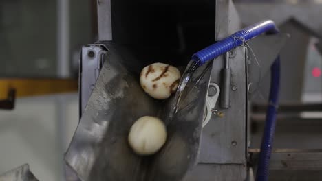 pov-shot-close-up-seen-Potatoes-coming-out-of-the-machine-and-being-washed-and-falling-on-the-conver-belt