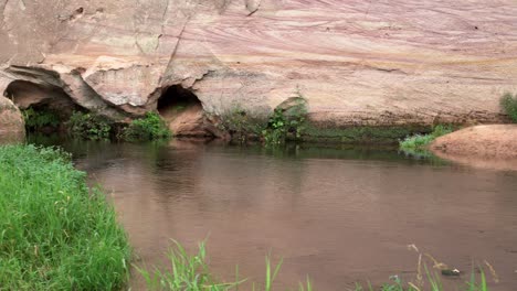 Kleine-Höhlen-Im-Sandsteinfelsen-Des-Großen-Taevaskoja