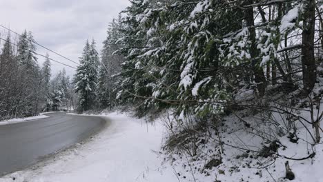 Bewölkter-Wintertag-Auf-Einer-Verschneiten-Straße-Mit-Schnee,-Der-Sanft-Von-Den-Bäumen-Fällt