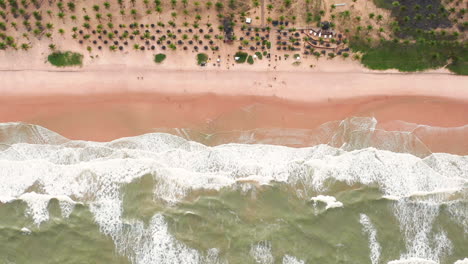 Aerial-view-of-the-waves,-beach-and-the-palm-trees-area-Imbassai,-Bahia,-Brazil