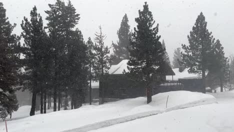 Heavy-Snowstorm-Enveloping-a-Mountain-House-Among-Pine-Trees
