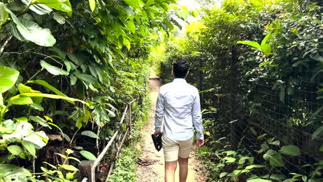 Turista-Masculino-Caminando-En-El-Parque-Natural---Parque-Natural-De-Windsor-En-Singapur---Tiro-De-Seguimiento