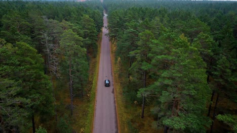 Pine-tree-forest-with-road-and-black-car-driving-followed-by-drone-from-top