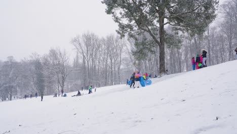 Gente-Divirtiéndose-Mientras-Se-Desliza-Por-La-Nieve-En-El-Parque-Woluwe,-Bruselas,-Bélgica---Plano-Amplio