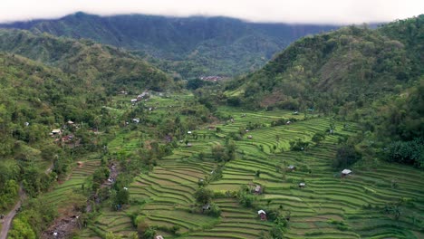 Drone-view-of-remote-lush-green-mountain-rice-terraces-in-Bali,-Indonesia