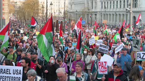 Protesters-rally-while-holding-placards,-banners,-and-Palestine-flags-in-solidarity-with-Palestine