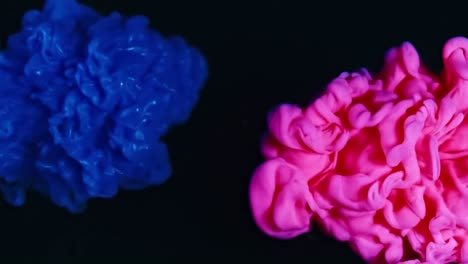 Blaue-Und-Rosa-Tintentropfen-Im-Wasser