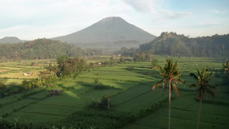 Stunning-view-of-Mount-Agung-volcano-surrounded-by-green-rice-fields-and-palm-trees-in-Bali,-Indonesia