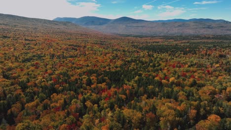 Herbstfarben---Blattfärbung-Im-Bergwald-Während-Der-Herbstsaison
