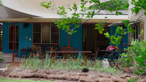 Pan-Revelar-Detrás-De-La-Rama-De-Un-árbol-Frondoso-Casa-Colorida-Azul-área-Para-Sentarse-Al-Aire-Libre-Y-Patio-Trasero