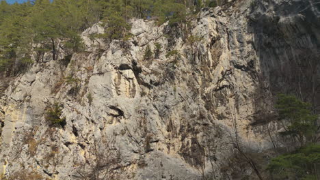 Kiefernwald-Auf-Einem-Hohen-Felsigen-Berg