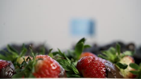 Strawberry-chocolate-covered-stems-rotating-on-a-platter-with-the-background-out-of-focus