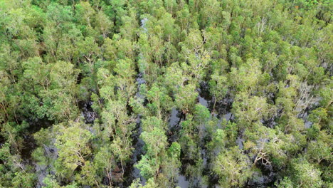 Aerial-drone-of-Flooded-Forest-With-Water-Reflecting-Overcast-Sky-a-Vacant-Block-of-Rural-Estate-in-Outback-Australia