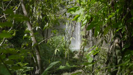 Exuberante-Vegetación-Que-Enmarca-Las-Serenas-Cataratas-Camugao-En-Filipinas,-Toma-De-Luz-Diurna
