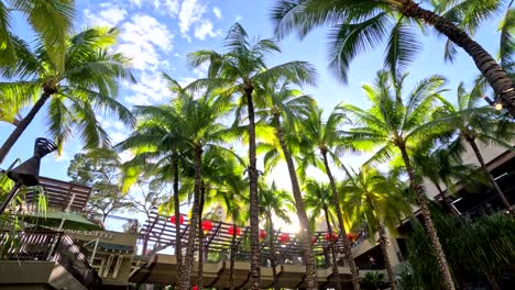 Royal-Hawaiian-Center-In-Waikiki,-Honolulu,-Hawaii;-4K